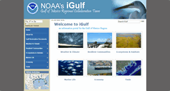 Desktop Screenshot of igulf.noaa.gov
