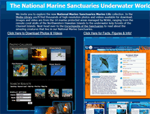 Tablet Screenshot of marinelife.noaa.gov